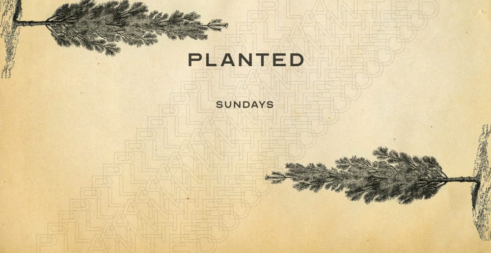 Planted