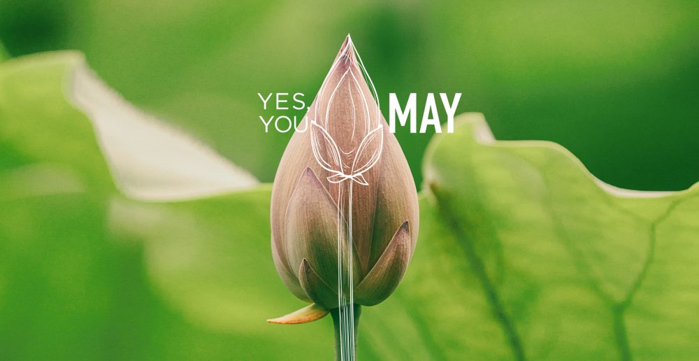 Yes, You MAY